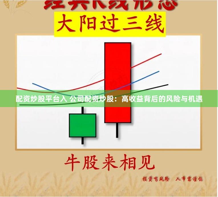 配资炒股平台入 公司配资炒股：高收益背后的风险与机遇