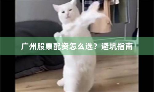广州股票配资怎么选？避坑指南